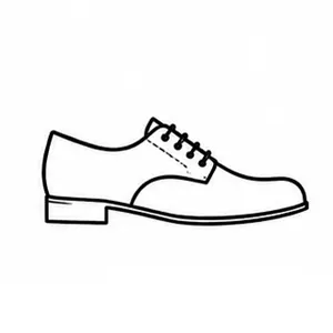 Zapatos de cordones