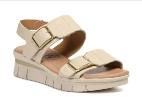 Valerias M.2602 (3)